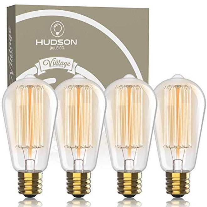 Hudson Bulb Co Vintage Incandescent Edison Light Bulbs
