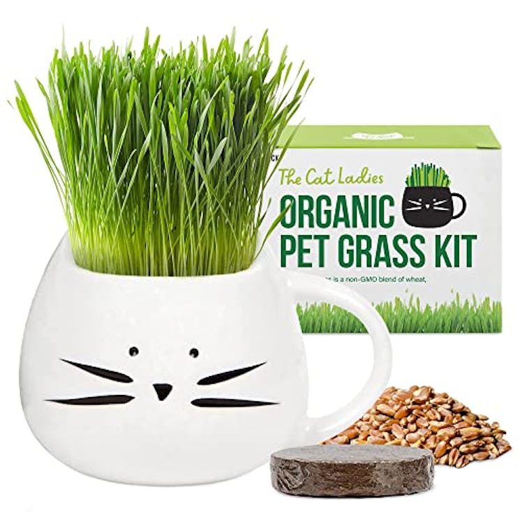 The Cat Ladies Organic Cat Grass Growing Kit