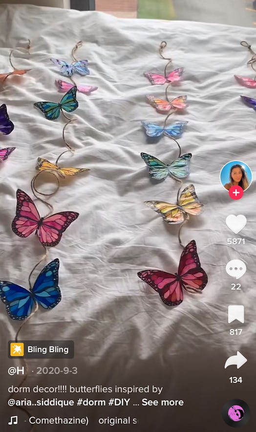 Butterfly garlands are a trendy, cheap, and easy DIY dorm decor idea from TikTok.