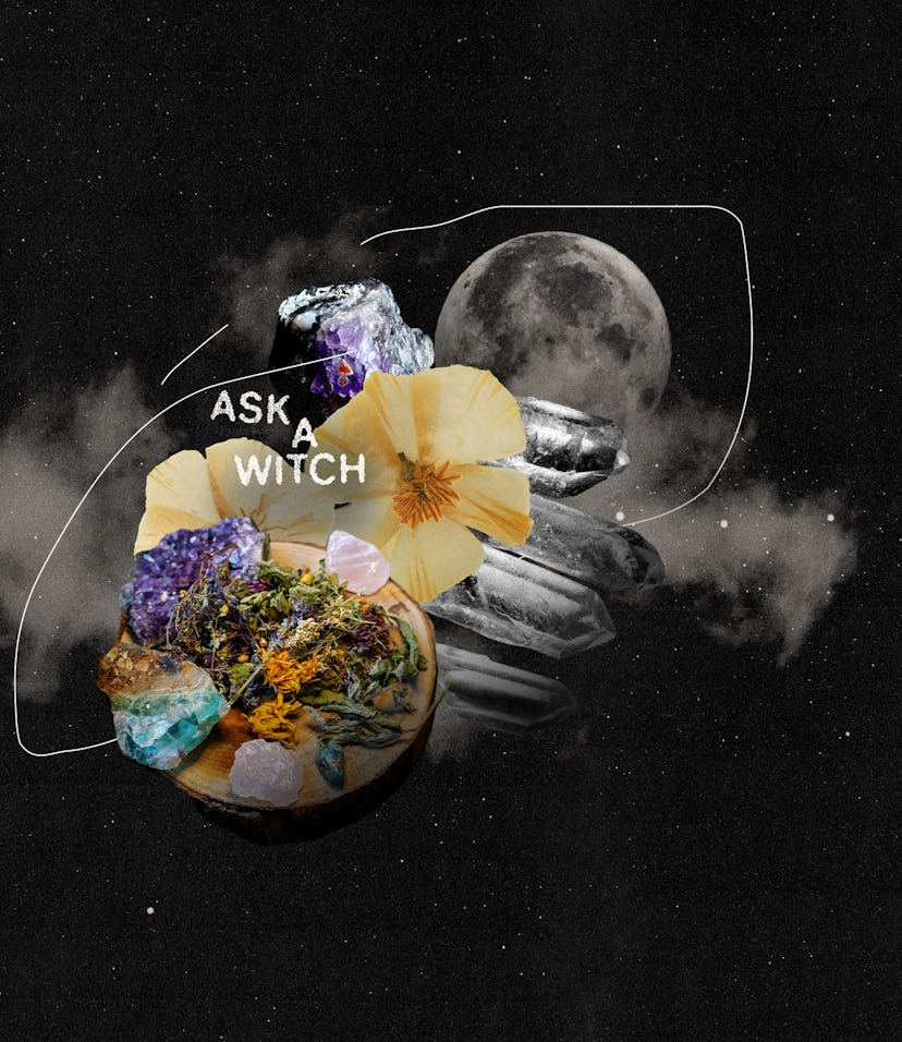 How To Flower Essences For Healing, According To A Witch