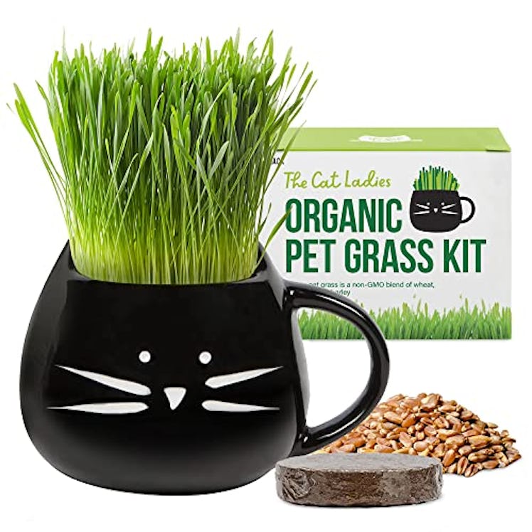 The Cat Ladies Organic Cat Grass Growing kit