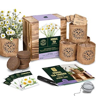 GARDEN REPUBLIC Indoor Herb Garden Seed Starter Kit