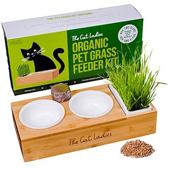 The Cat Ladies Raised Cat Bowls Stand & Organic Cat Grass Growing Kit