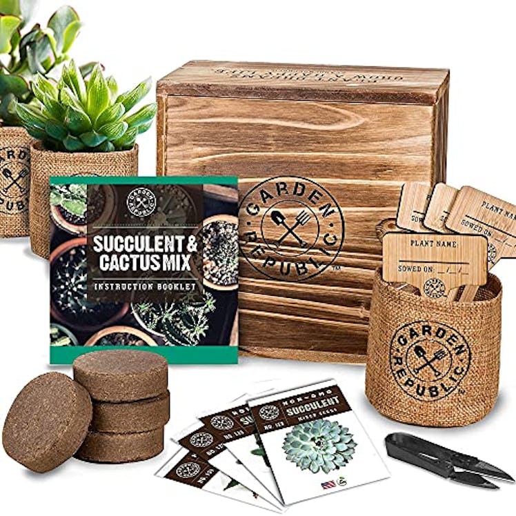 Garden Republic Cactus Succulent Seed Starter Kit