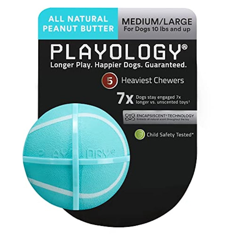 PLAYOLOGY - Squeaky Chew Ball Dog Toy