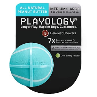PLAYOLOGY - Squeaky Chew Ball Dog Toy