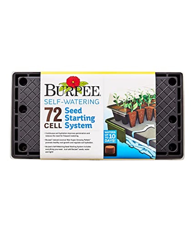 Burpee Self-Watering Seed Starter Tray