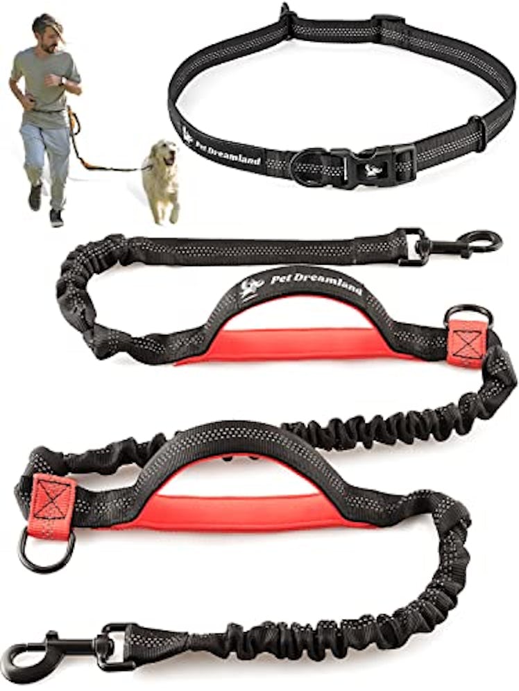 Pet Dreamland Hands Free Dog Leash