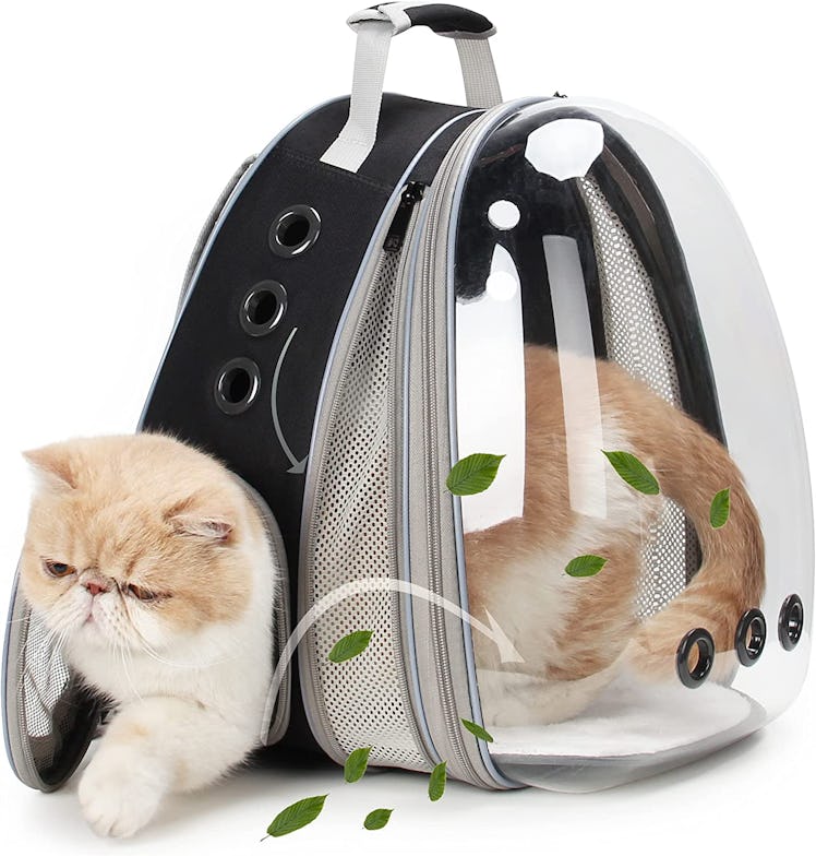 LOLLIMEOW Pet Carrier Backpack