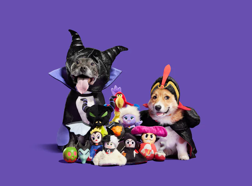 Barkbox Potter BarkBox's 'Harry Potter' & Disney Villain Dog Costumes For Halloween ...