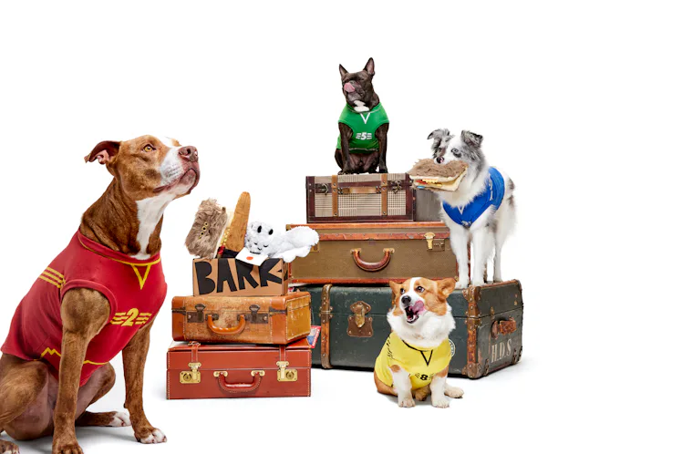 Barkbox Potter BarkBox's 'Harry Potter' & Disney Villain Dog Costumes For Halloween ...