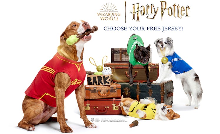 The Super Chewer box has BarkBox's 'Harry Potter' Halloween dog costumes for 2022. 