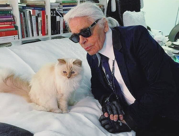 Choupette the cat with the late Karl Lagerfeld