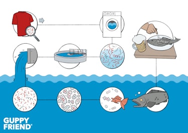 Microplastic pollution