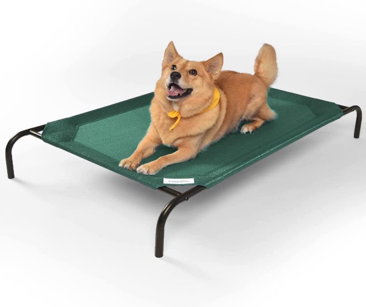 Coolaroo Elevated Dog Bed