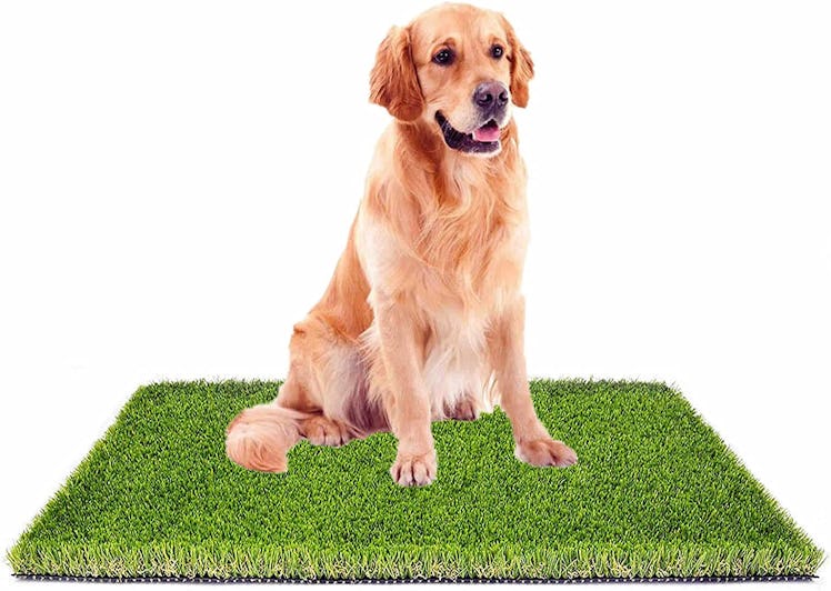 MTBRO Artificial Grass For Dogs