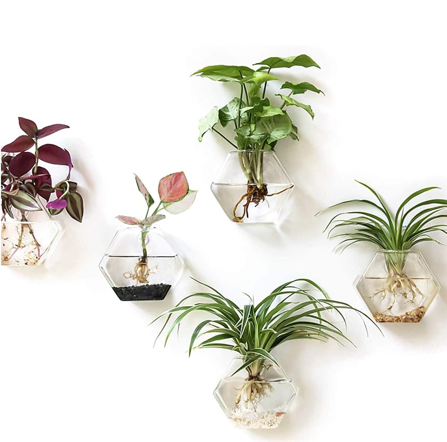 Kingbuy Wall Hanging Glass Terrarium