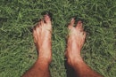 光着脚的脚趾站在草地上。