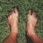 Bare feet with hairy toes standing in the grass.