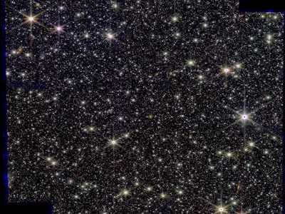 a large field of stars in a nearby galaxy