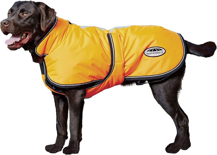 Designed with a layer of polyfill insulation, this waterproof dog coat keeps your pet warm and dry.