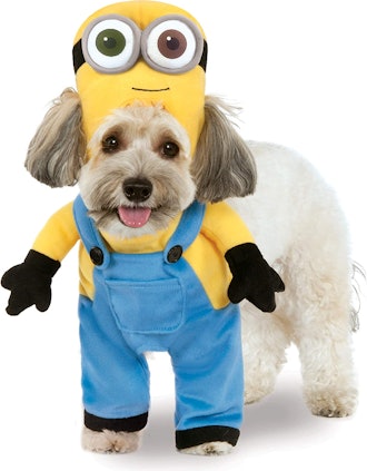Minions dog costume