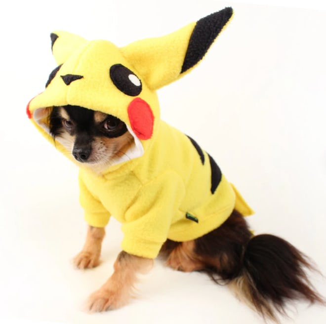 Pikachu dog costume