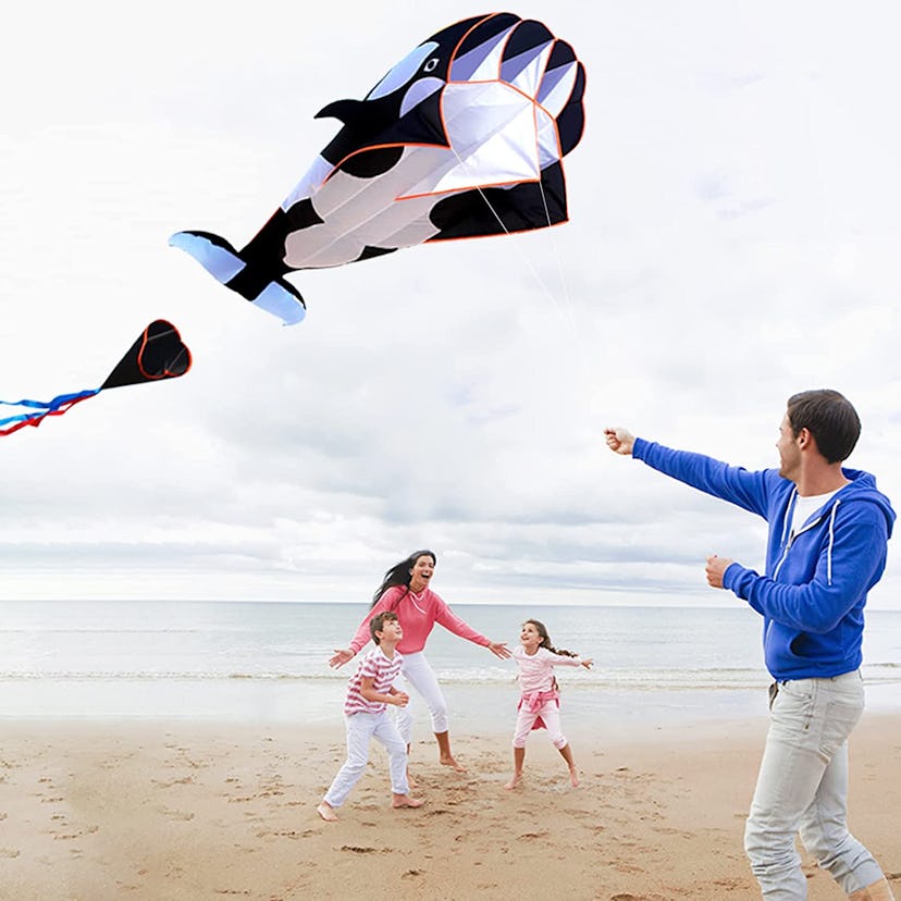 Hengda 3D Orca Kite