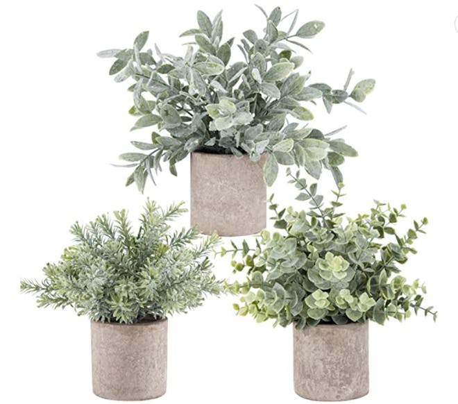 3-Pack Mini Potted Artificial Eucalyptus Plants
