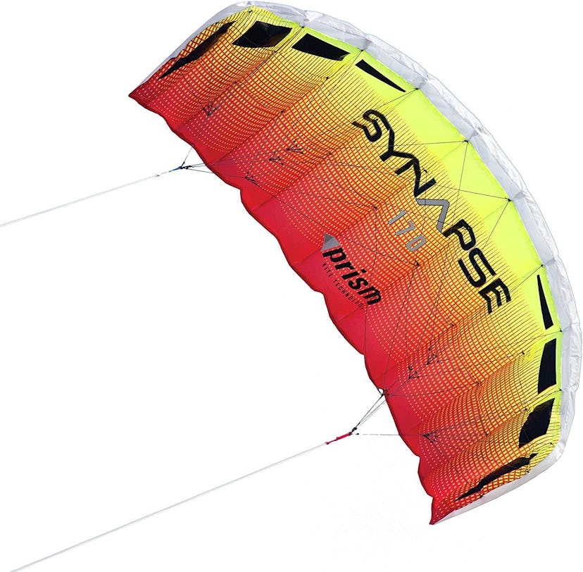Prism Kite Technology Synapse Dual-line Parafoil Kite