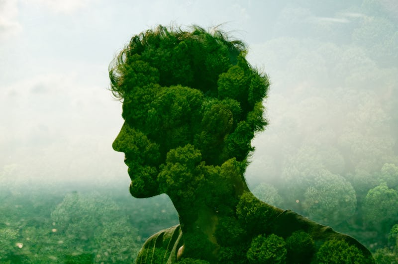 A portrait depicting a human figure crafted from lush green foliage.