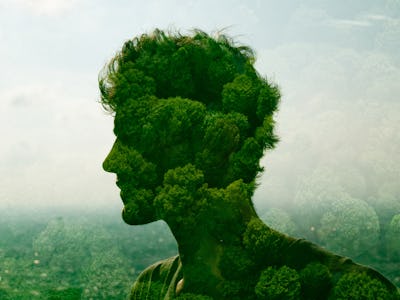 A portrait depicting a human figure crafted from lush green foliage.