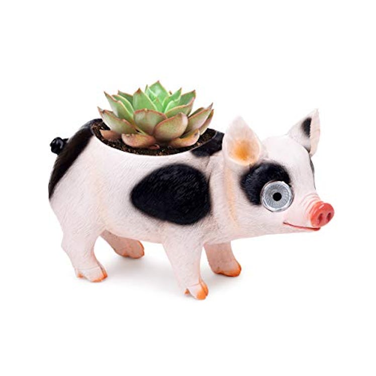 Blazin' Pig Flower Pot