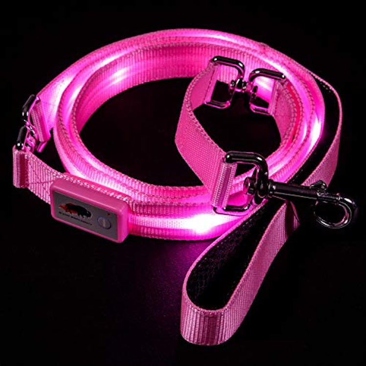 Blazin' Safety LED Dog Leash