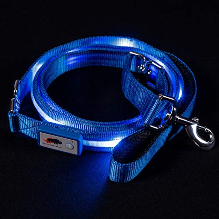 Blazin' Safety LED Dog Leash 