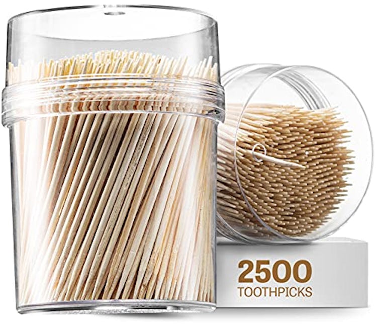 2500 Wooden Toothpicks - With Reusable Holder