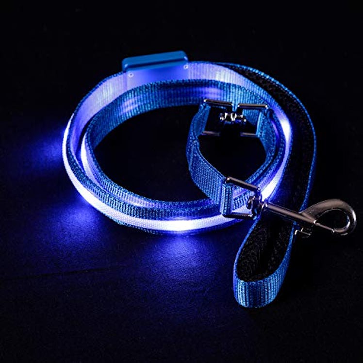  Blazin' Safety LED Dog Leash