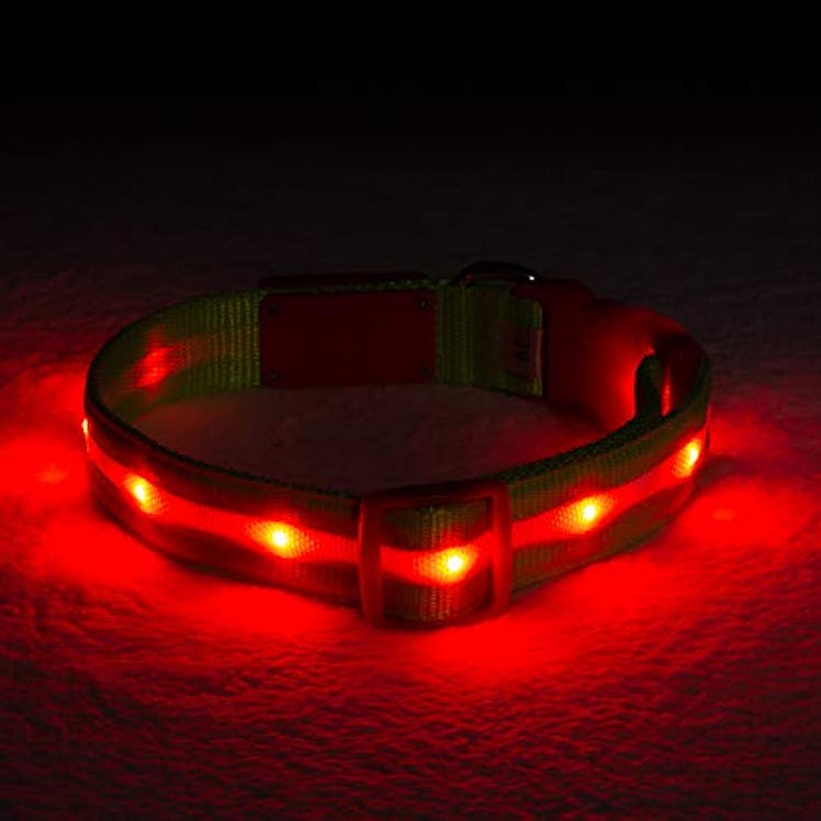 Blazin LED Light Up Dog Collar 