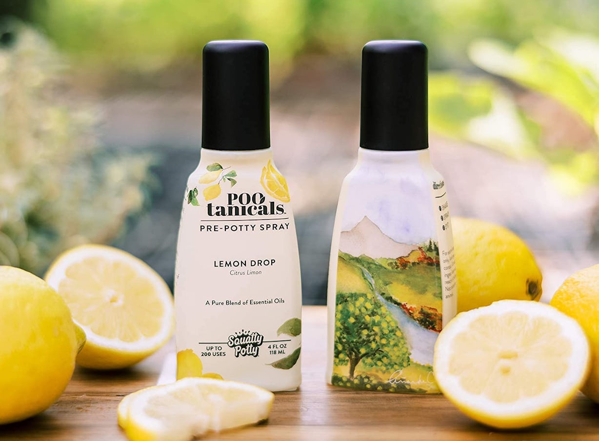 Best Bathroom Air Freshener 2025