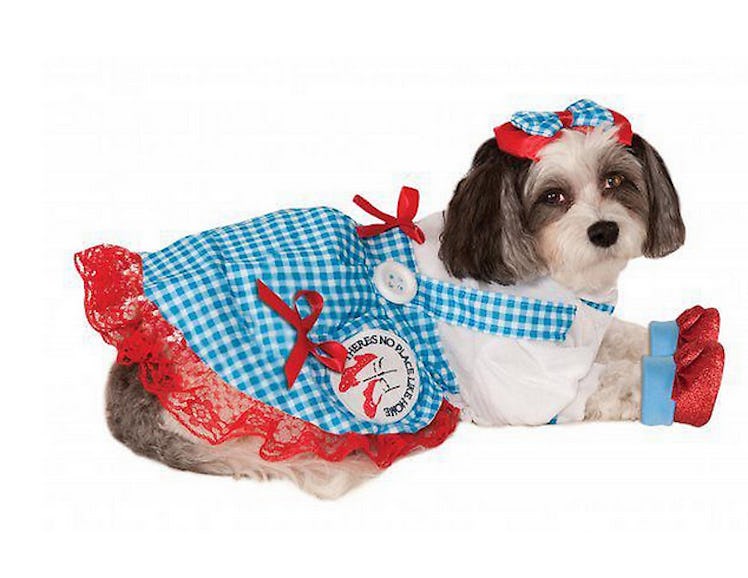 Dorothy dog and cat cosume is a scary cute Halloween dog costumes and toys from PetSmart for 2022.