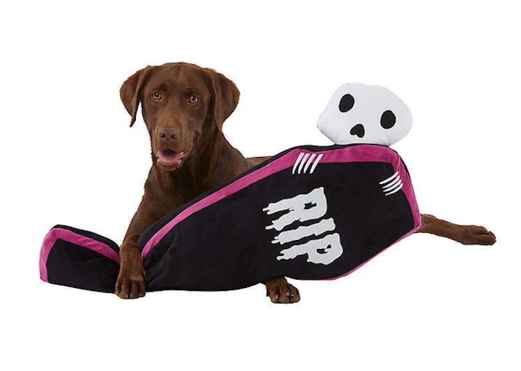 The large RIP coffin dog toy is a scary cute Halloween item from PetSmart for 2022.