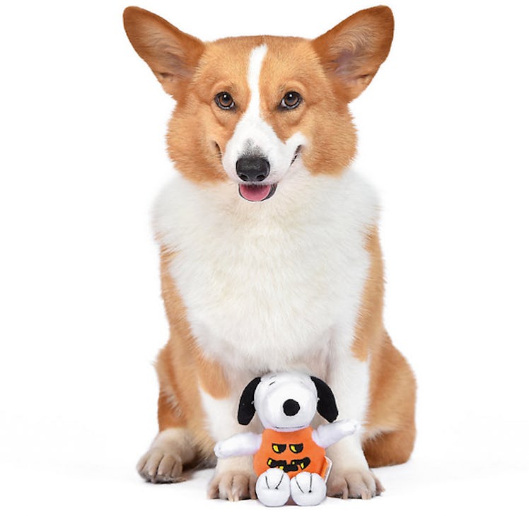 Snoopy pumpkin dog toy is a  is a scary cute Halloween item from PetSmart for 2022.