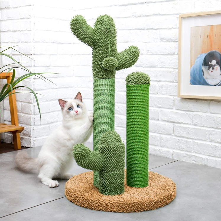 PAWZ Road Cactus Cat Scratcher