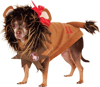A Wizard of Oz dog and baby costume is timeless.
