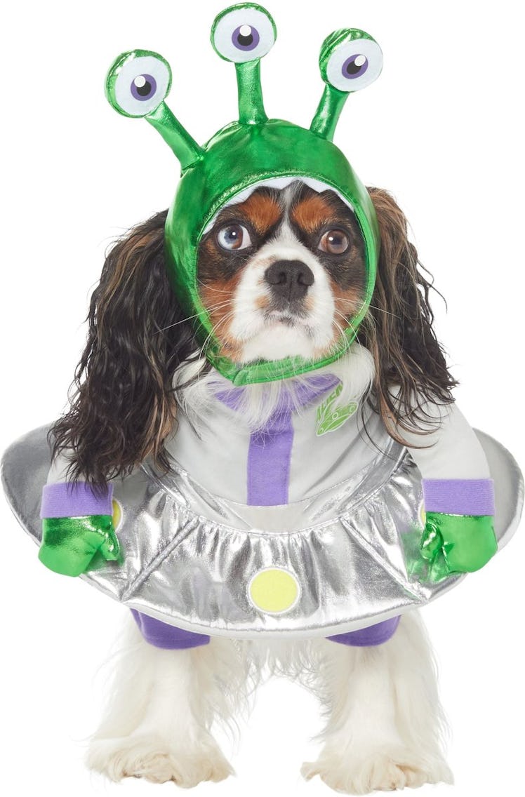 This alien costume is part of Chewy's Halloween dog costumes for 2022. 