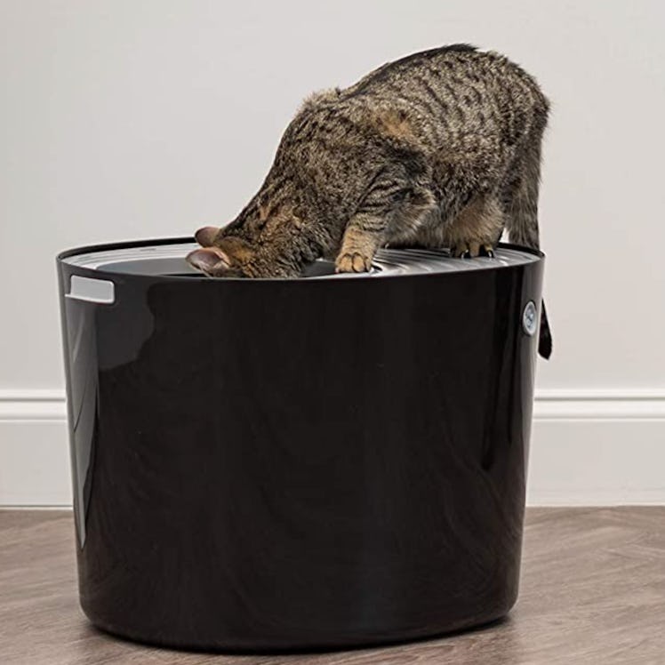 RIS USA Top Entry Cat Litter Box