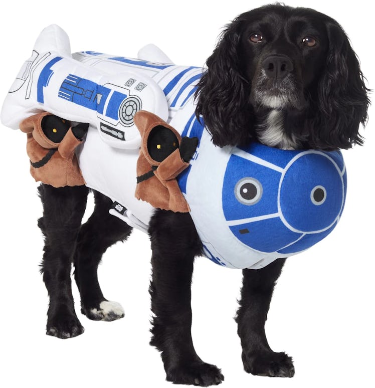 This 'Star Wars' costume is part of Chewy's Halloween dog costumes for 2022. 