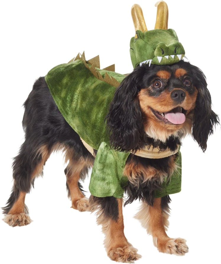 This Alligator Loki costume is part of Chewy's Halloween dog costumes for 2022. 