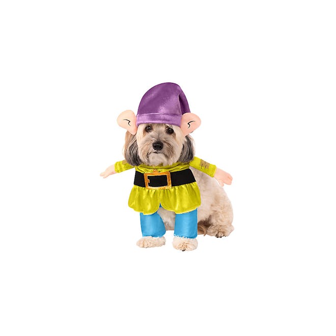 A Dopey costume is perfect for a Disney dog and baby Halloween costume.