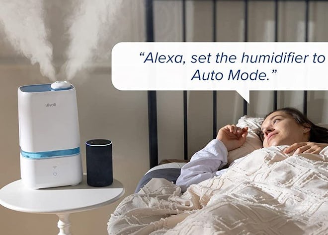 The 5 Best Humidifiers For Eczema